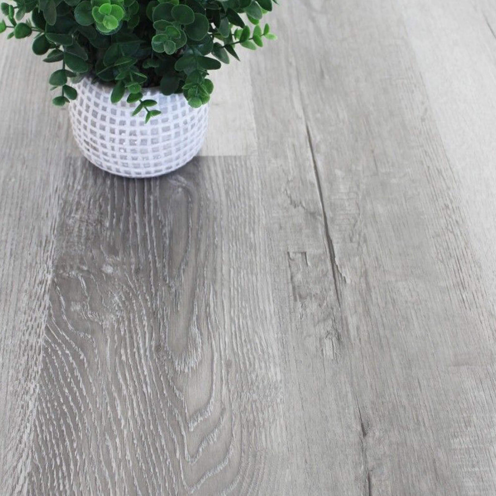 Bamburgh Grey Rigid LVT flooring with a white pot and green plant