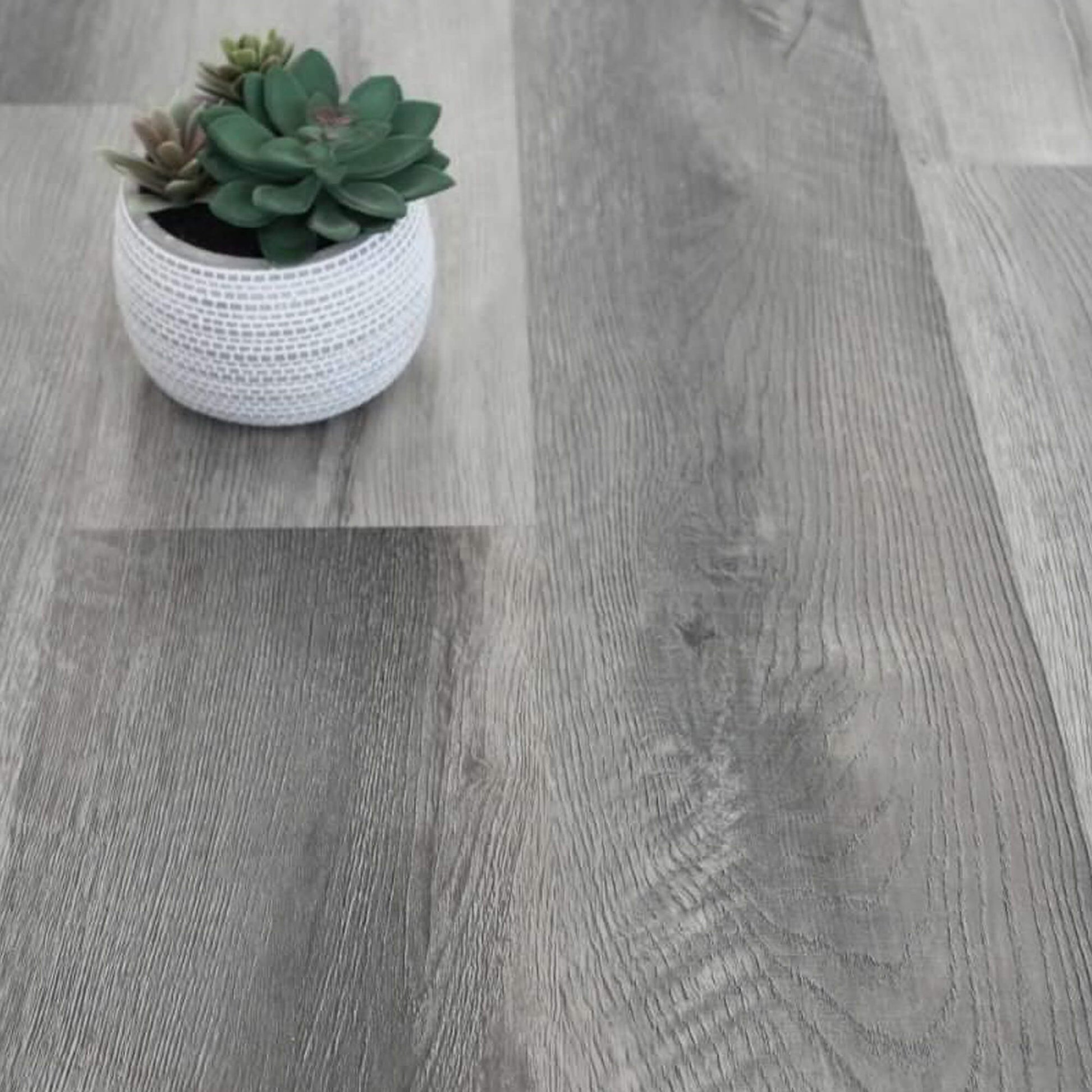 Close-up of Conwy Grey Rigid LVT Flooring with a potted plant.