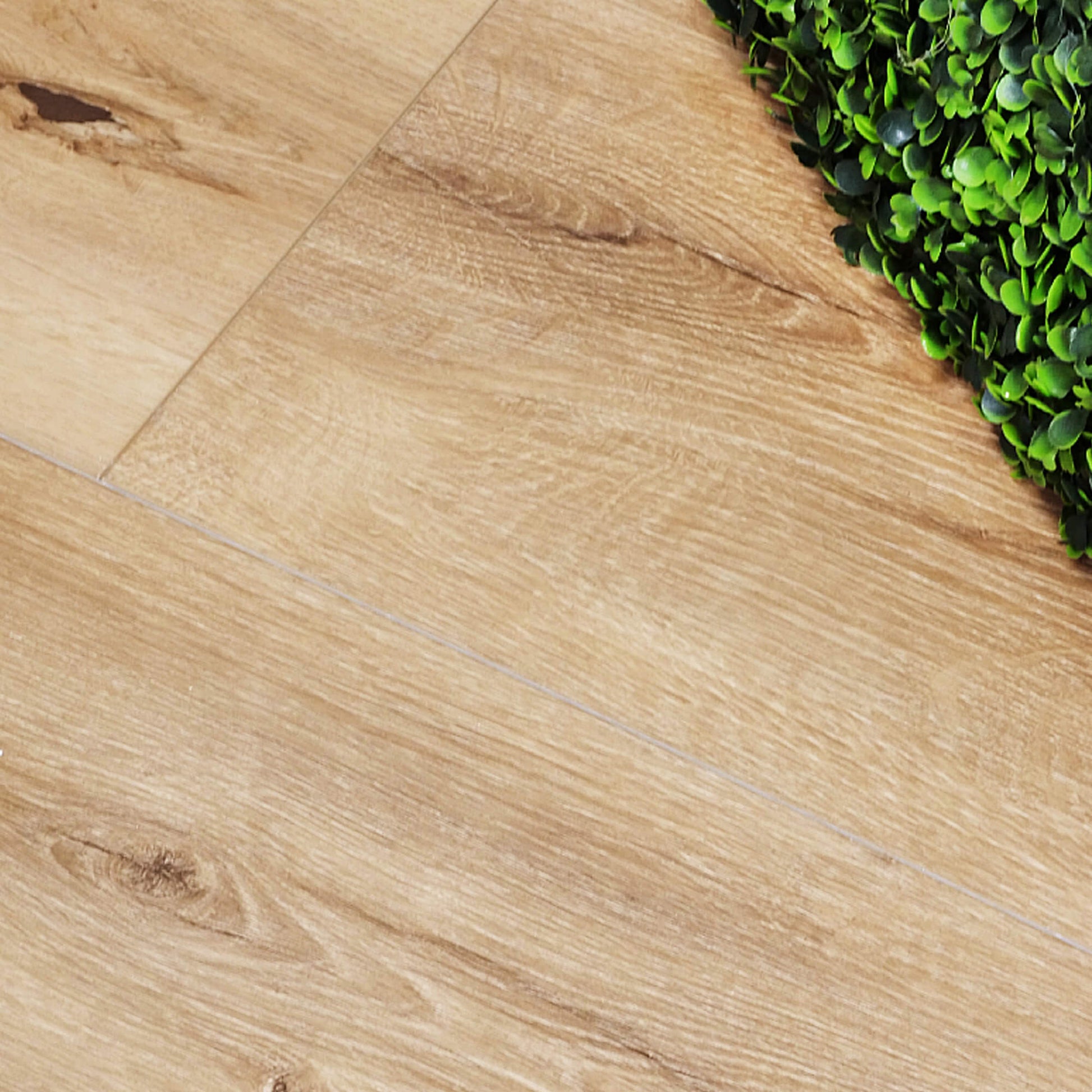 Close-up of Heritage Oak Rigid LVT flooring with a green plant corner