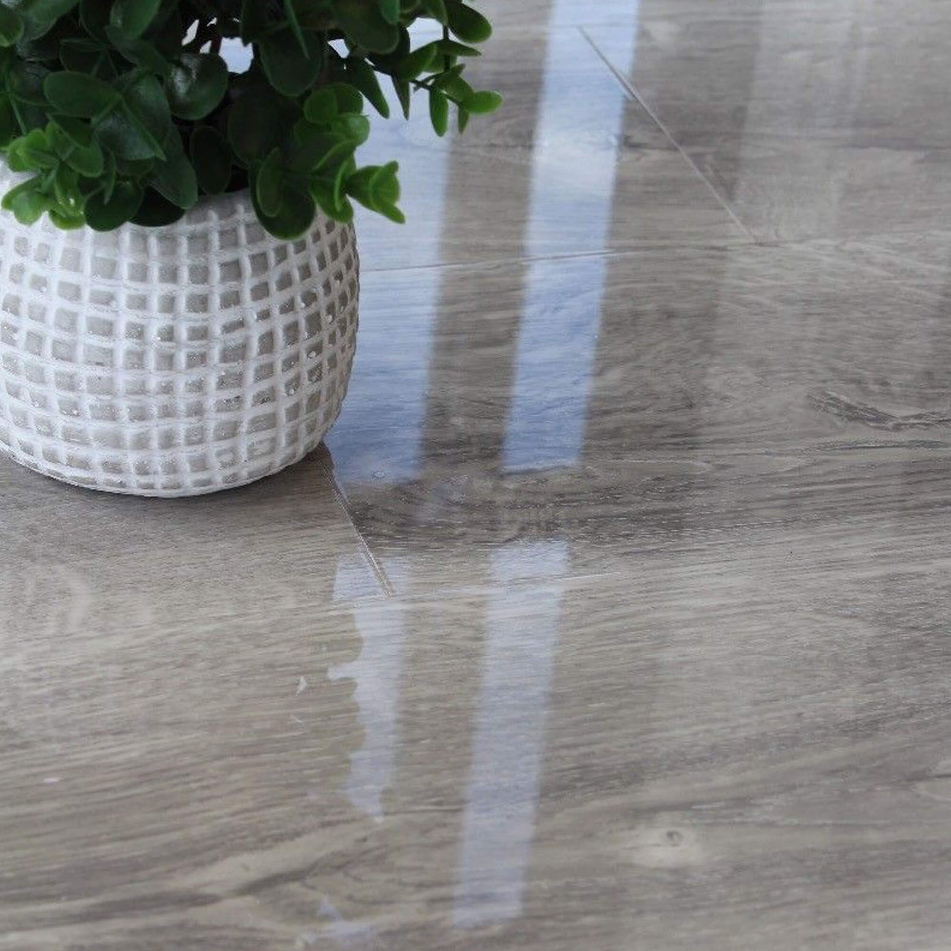 Close-up of Manhattan Grey Super Gloss Laminate Flooring with a plant pot in the background.