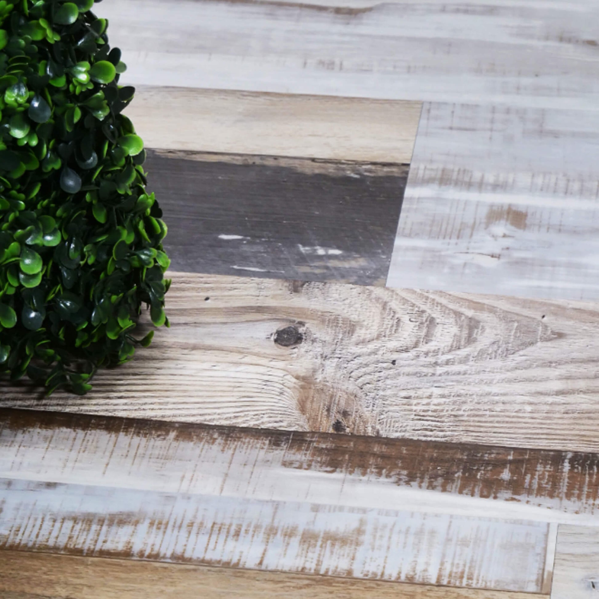 Close-up of Reclaimed Oak Rigid LVT flooring with a green plant on the left side.