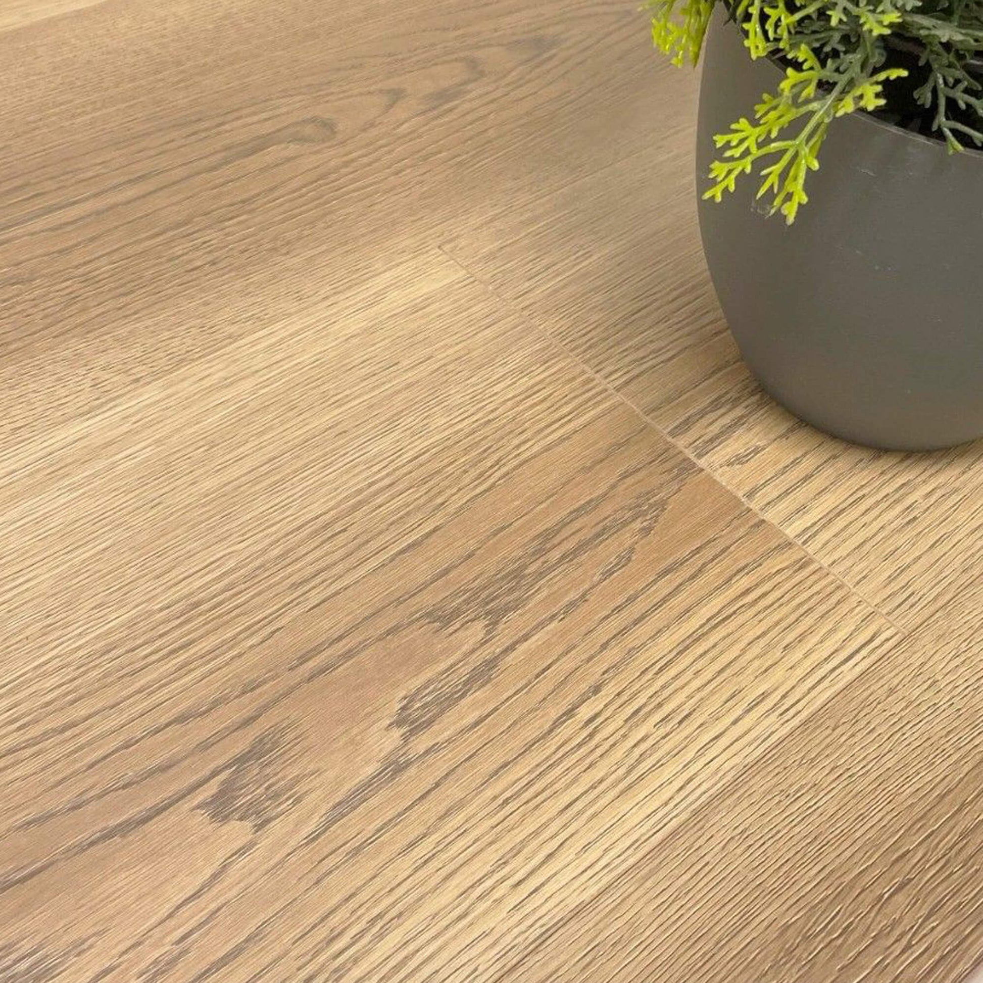 Close-up of Sable Oak Prestige Plus Laminate Flooring with a plant pot in the background.